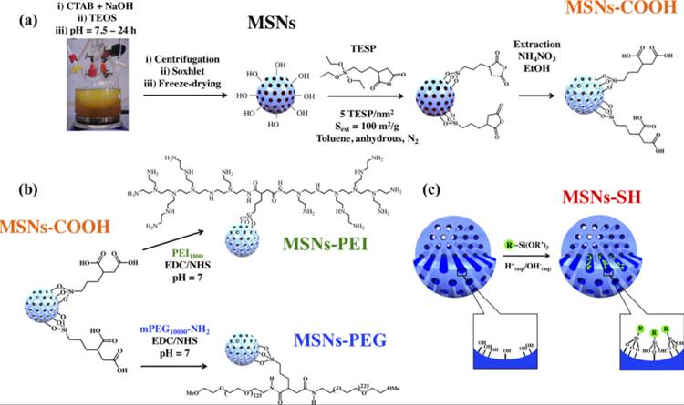 Nanotheranostics Image