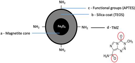 Nanotheranostics Image