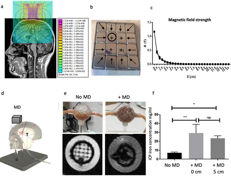 Nanotheranostics Image