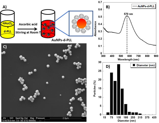 Nanotheranostics Image