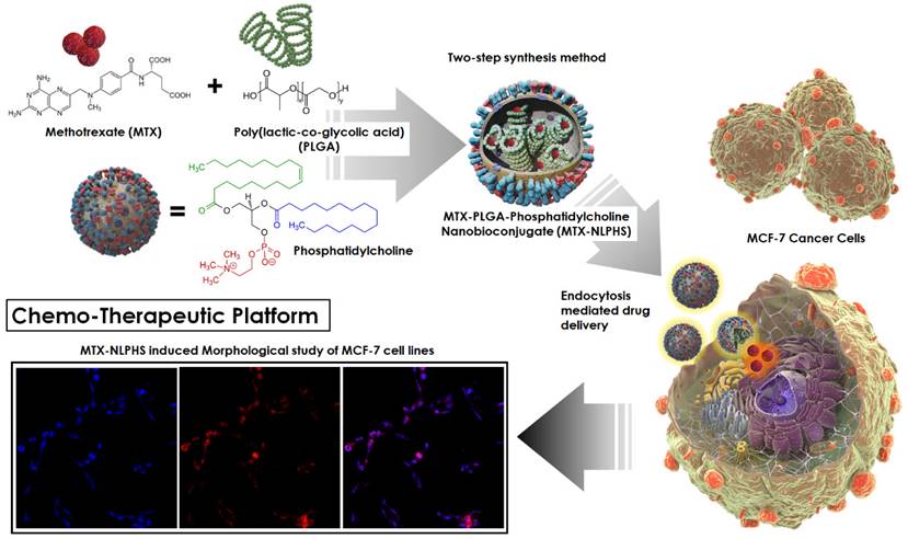 Nanotheranostics Image