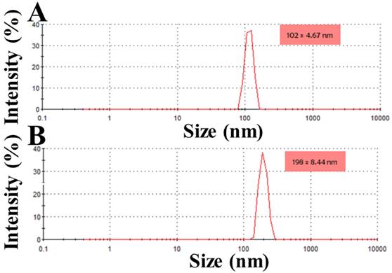 Nanotheranostics Image