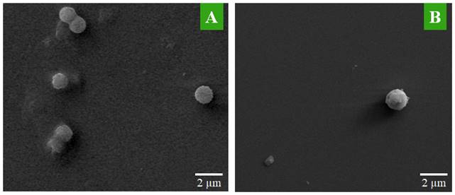 Nanotheranostics Image