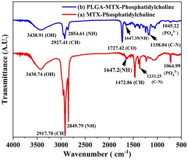 Nanotheranostics Image