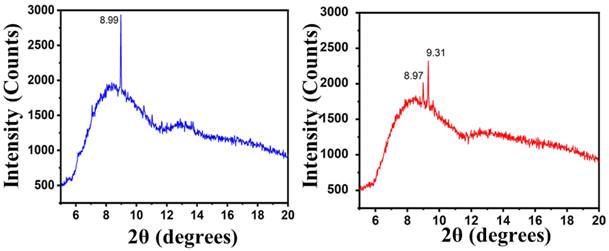 Nanotheranostics Image