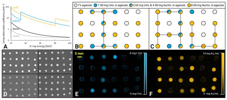 Nanotheranostics Image