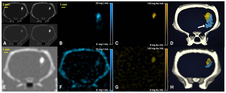 Nanotheranostics Image