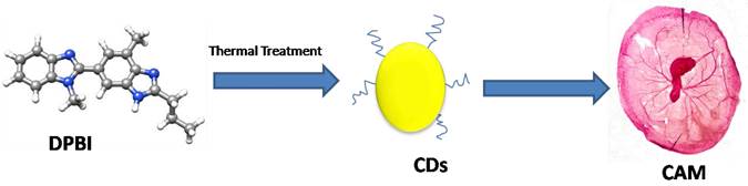 Nanotheranostics Image