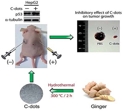 Nanotheranostics Image