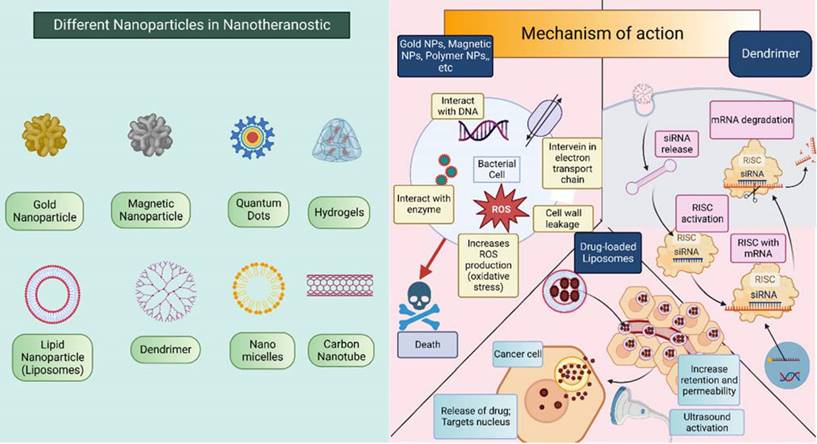 Nanotheranostics Image