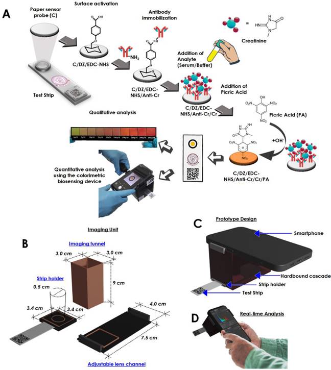 Nanotheranostics Image