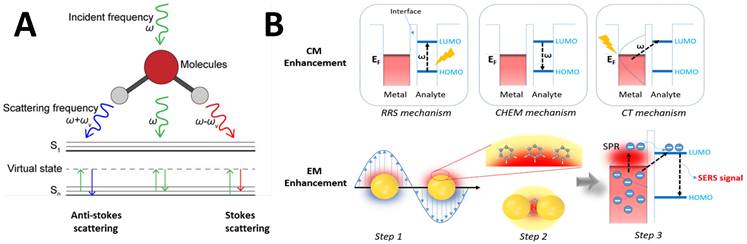 Nanotheranostics Image