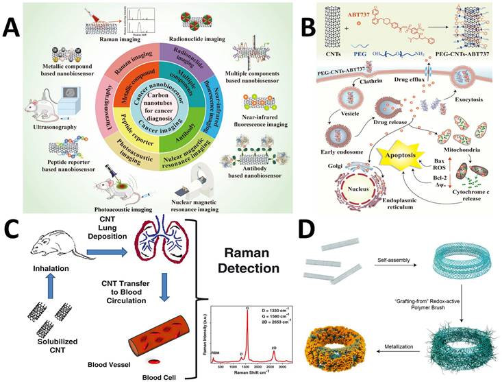 Nanotheranostics Image