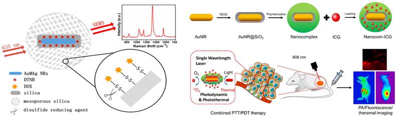 Nanotheranostics Image