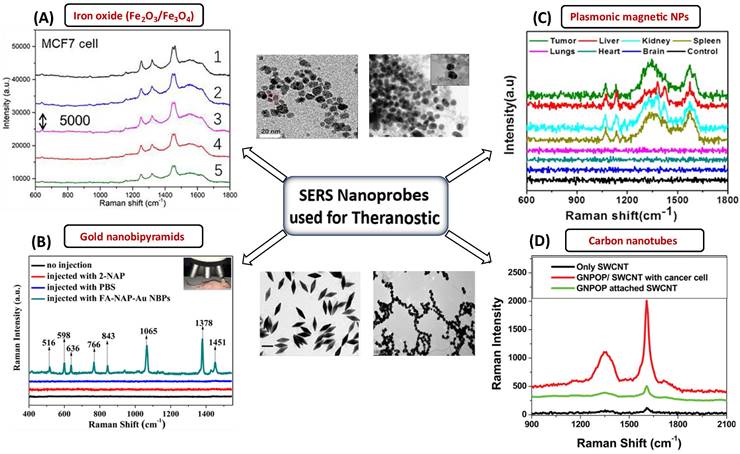 Nanotheranostics Image