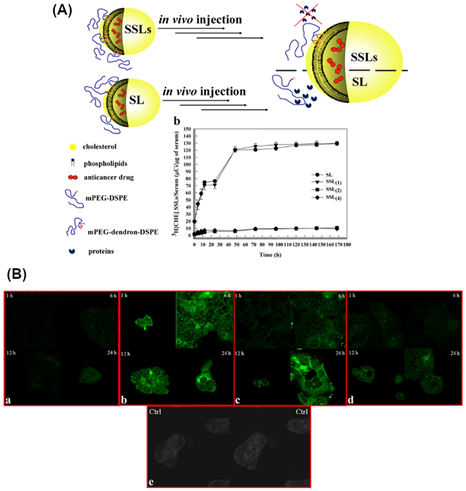 Nanotheranostics Image