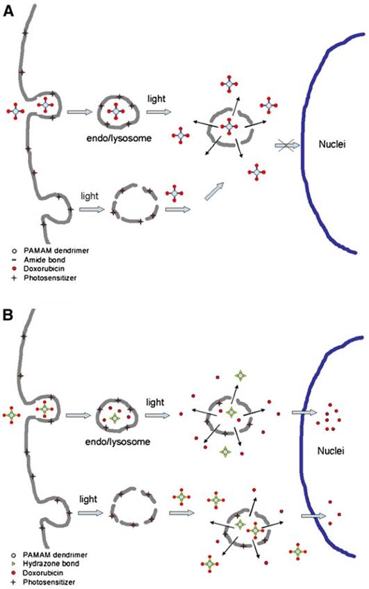 Nanotheranostics Image