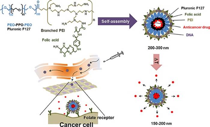 Nanotheranostics Image