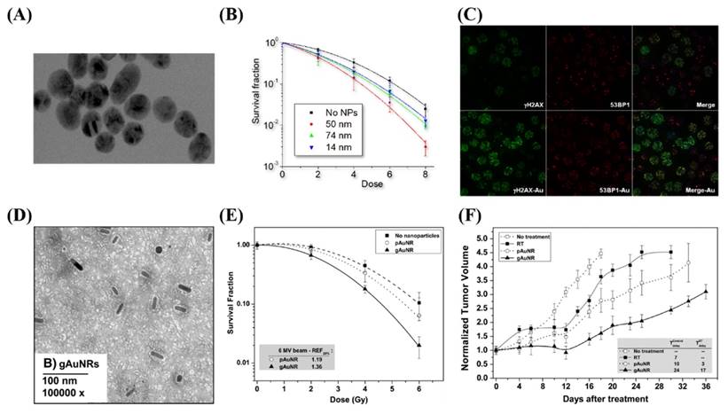 Nanotheranostics Image