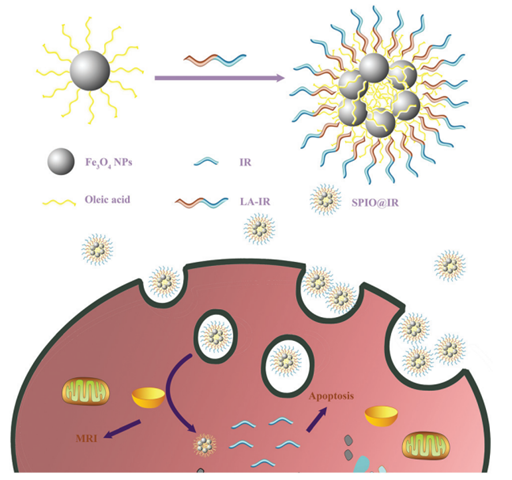 Nanotheranostics Image