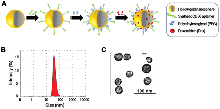 Nanotheranostics Image