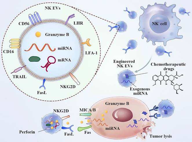 Nanotheranostics Image