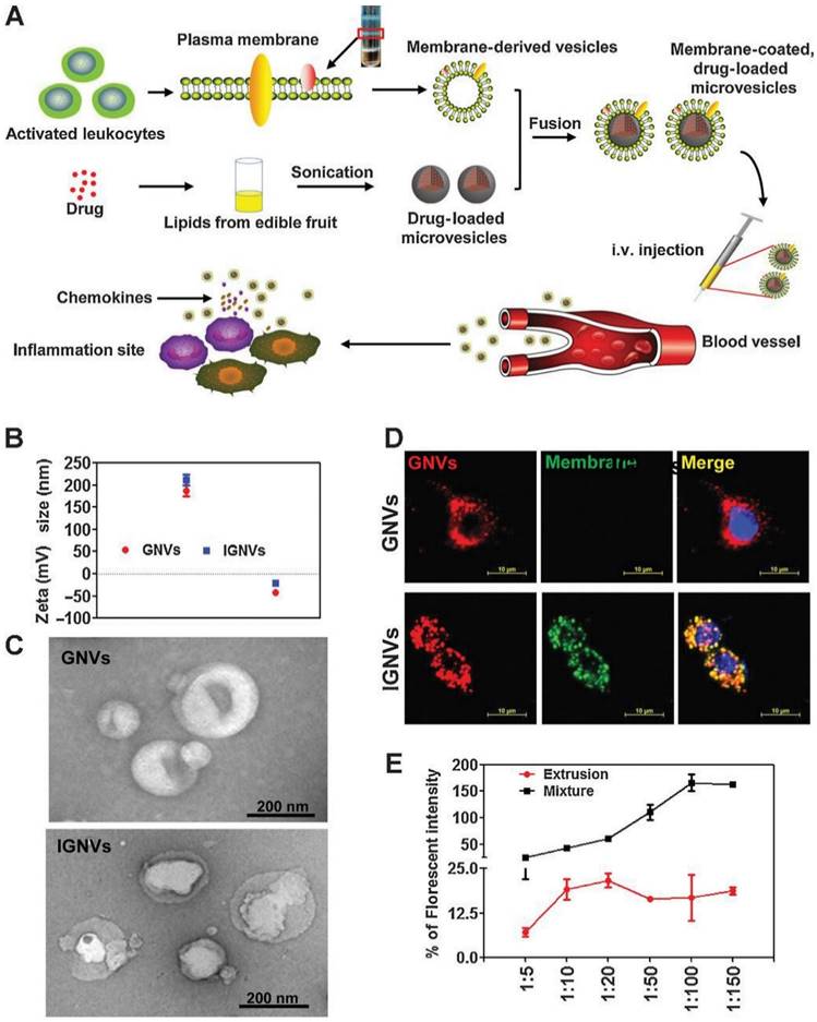 Nanotheranostics Image