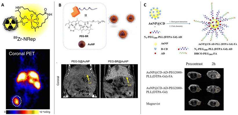 Nanotheranostics Image