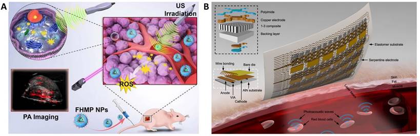 Nanotheranostics Image