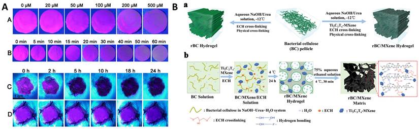 Nanotheranostics Image