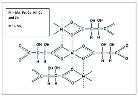 Nanotheranostics Image