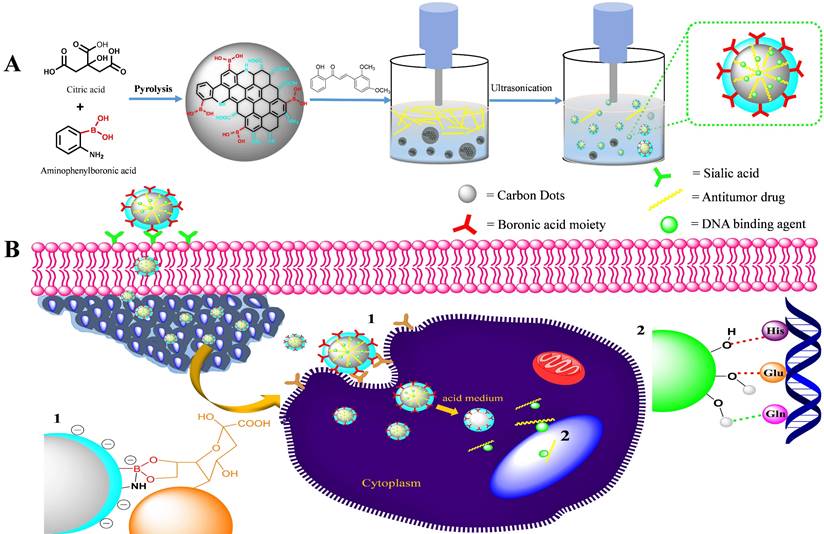 Nanotheranostics Image