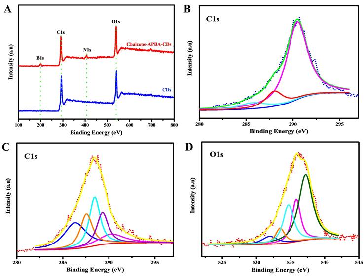 Nanotheranostics Image