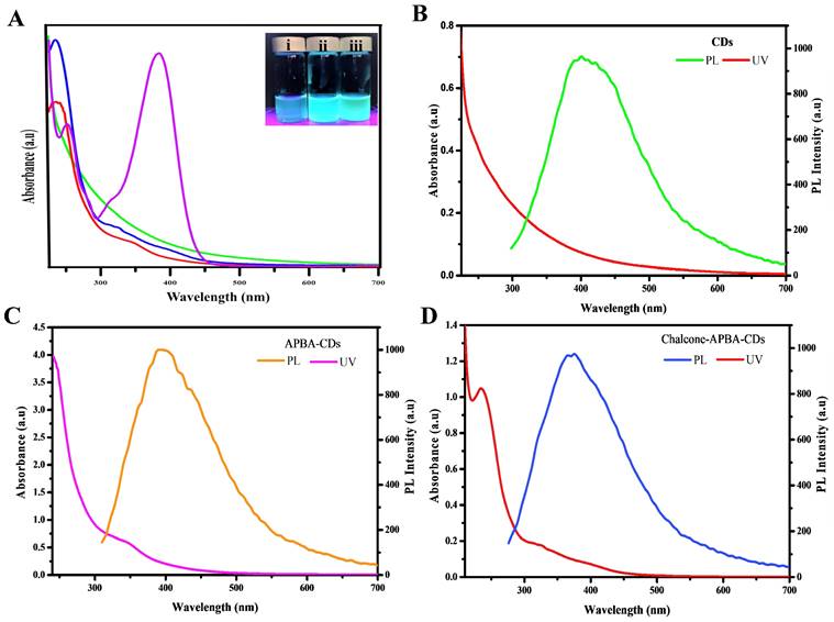 Nanotheranostics Image