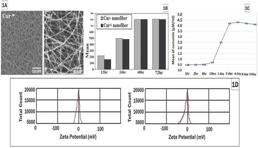 Nanotheranostics Image