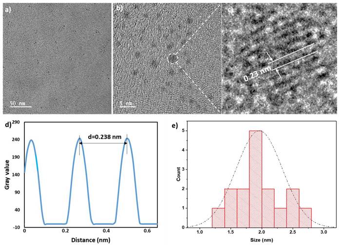 Nanotheranostics Image