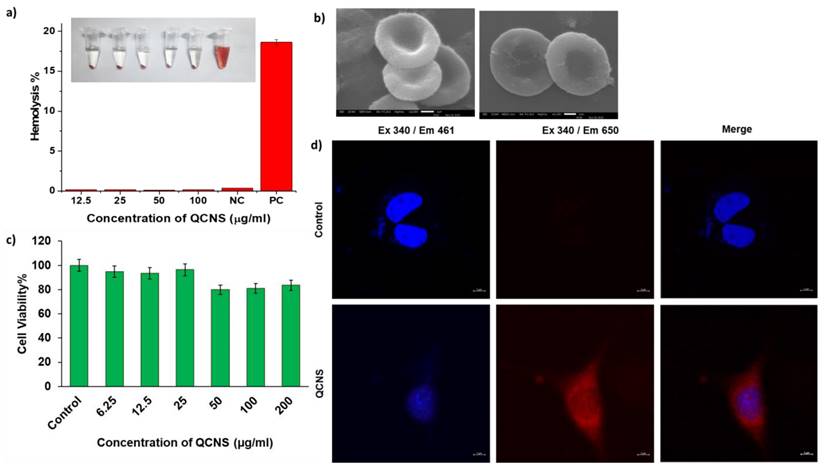 Nanotheranostics Image