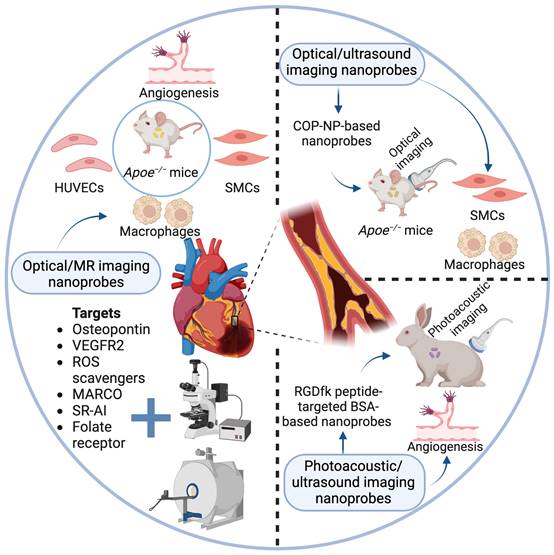 Nanotheranostics Image