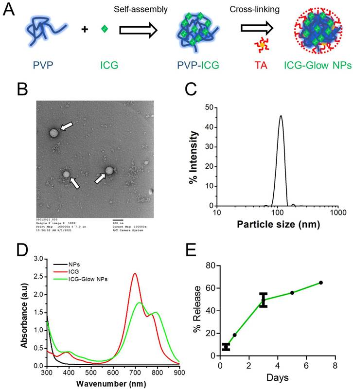 Nanotheranostics Image