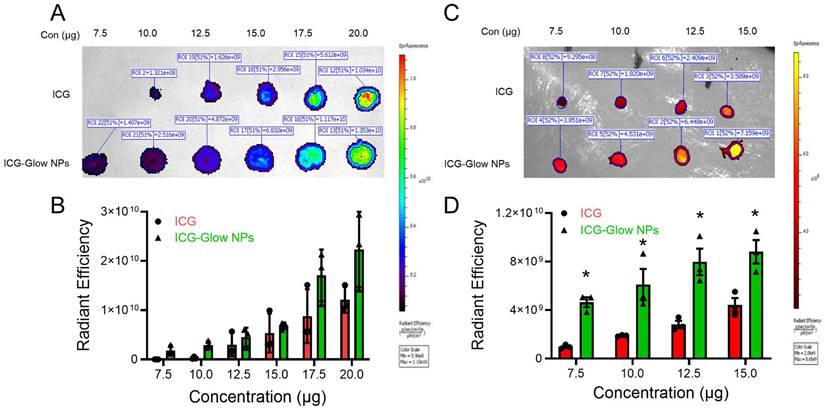 Nanotheranostics Image