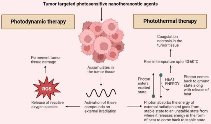 Nanotheranostics Image