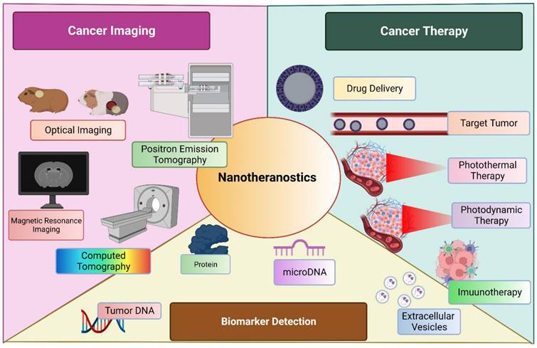 Nanotheranostics Image