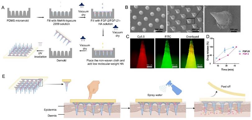 Nanotheranostics Image