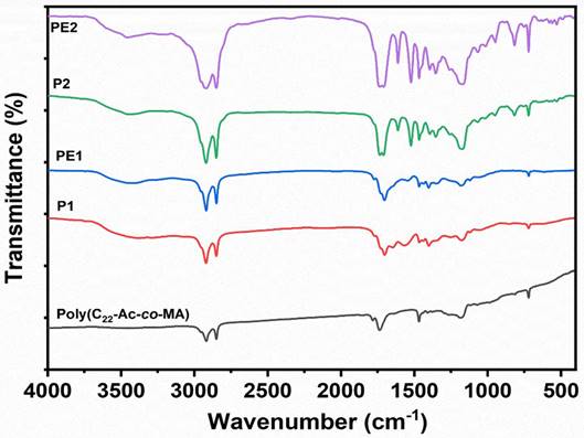 Nanotheranostics Image