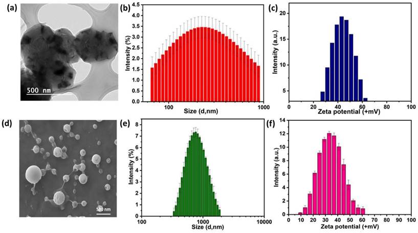 Nanotheranostics Image