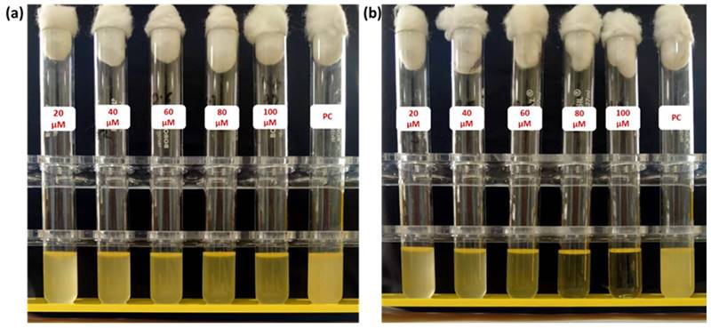 Nanotheranostics Image