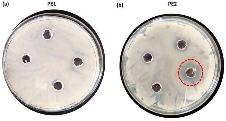 Nanotheranostics Image