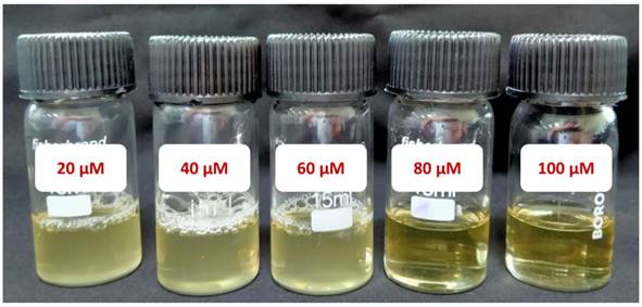 Nanotheranostics Image