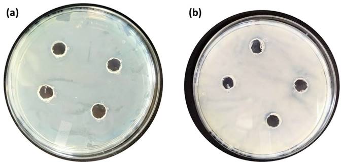 Nanotheranostics Image