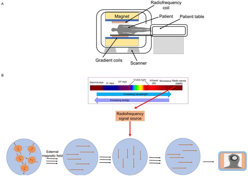 Nanotheranostics Image